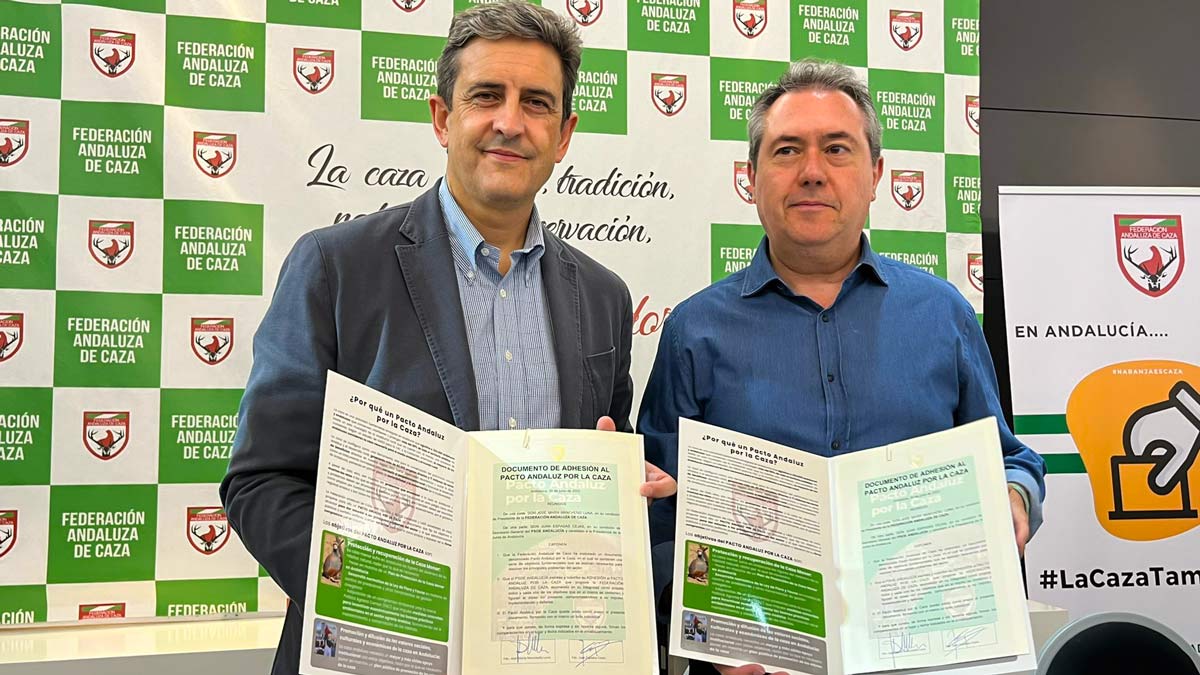 Espadas Anuncia Que El Psoe Sacar La Caza De La Ley De Bienestar