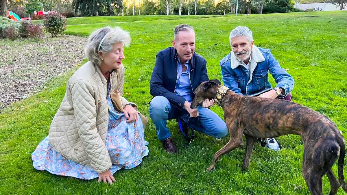 Galgos Sin Fronteras Dice Que Marlaska Es Un Aliado Para Retirar La