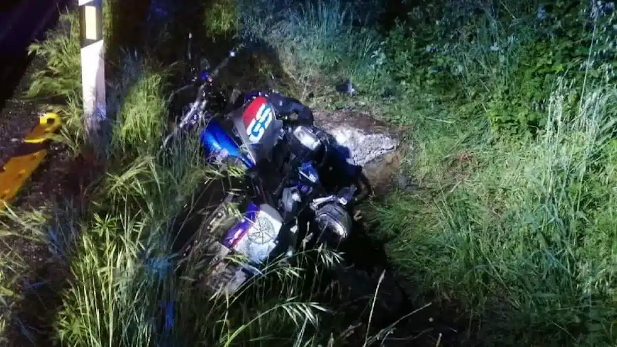 Herido grave un motorista tras chocar contra un jabalí en Galicia