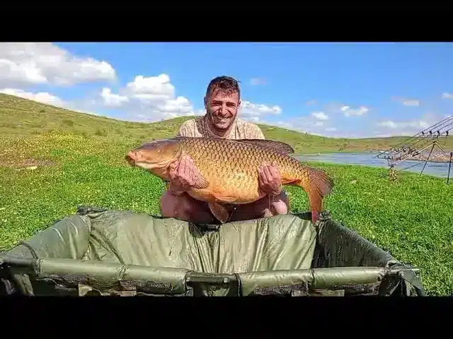 Pesca De Carpas Con Arco En CaZa Y Pesca 