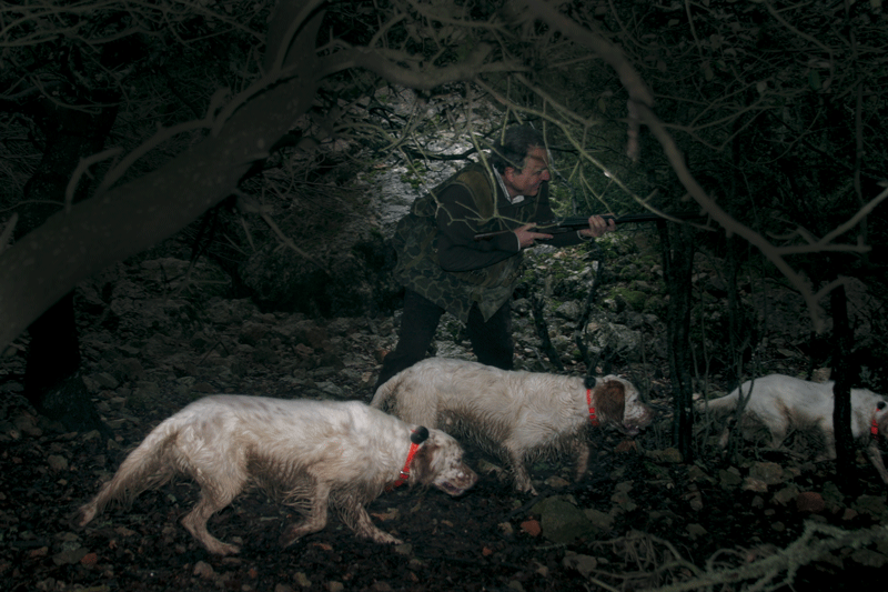 FOTOS-SETTERS-DE-MUESTRA-020