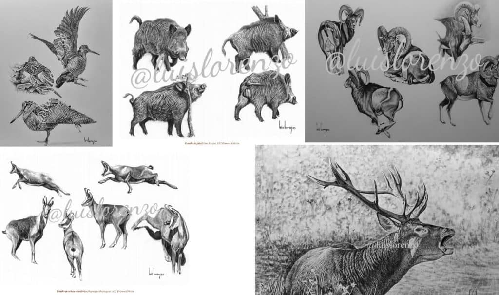  Luis Lorenzo Sánchez, el cazador que dibuja la magia de la caza con un lápiz (perros de caza, jabalíes, becadas...)