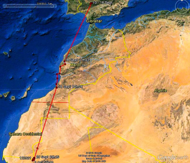 Mapa de la ruta migratoria de Marcel entre el 16 septiembre y el 2 octubre de 2013.