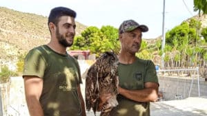 Dos cazadores rescatan a un búho real malherido en Alicante