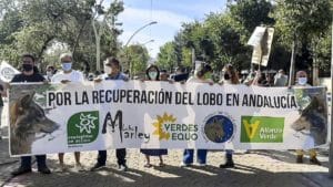 Estrepitoso fracaso de la manifestación para reintroducir lobos en Andalucía