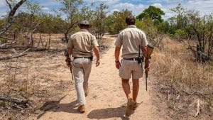 La cancelación de los vuelos con Sudáfrica y Botsuana, un varapalo para los safaris de caza