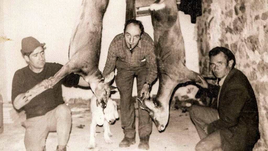Corzos cazados en Taranilla en 1975. © J. Ignacio Contreras 