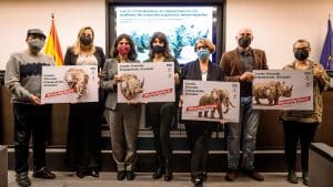 Unidas Podemos promueve la prohibición de la importación de trofeos de caza en el Senado
