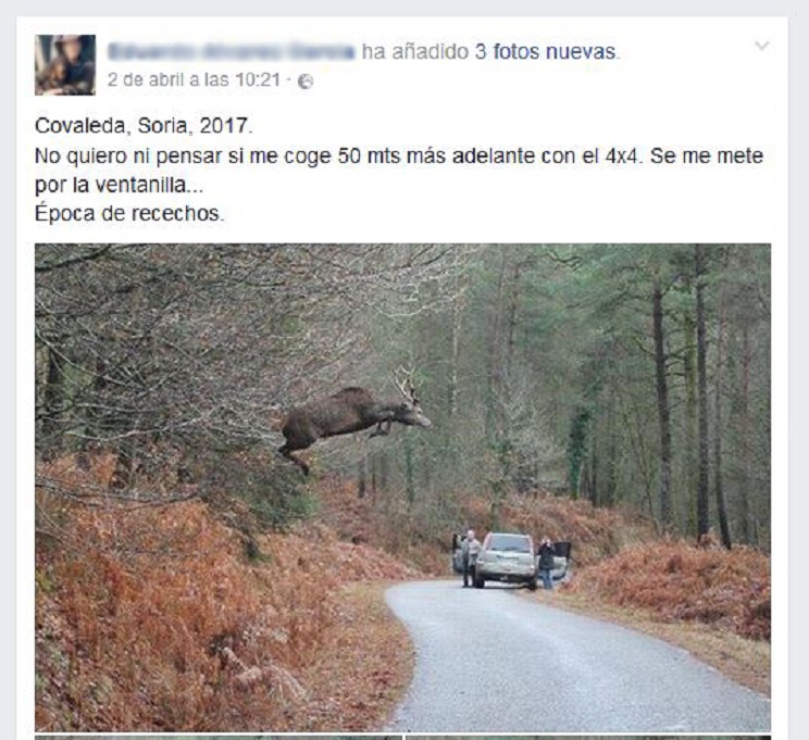 Captura Facebook foto de un ciervo volando-edit