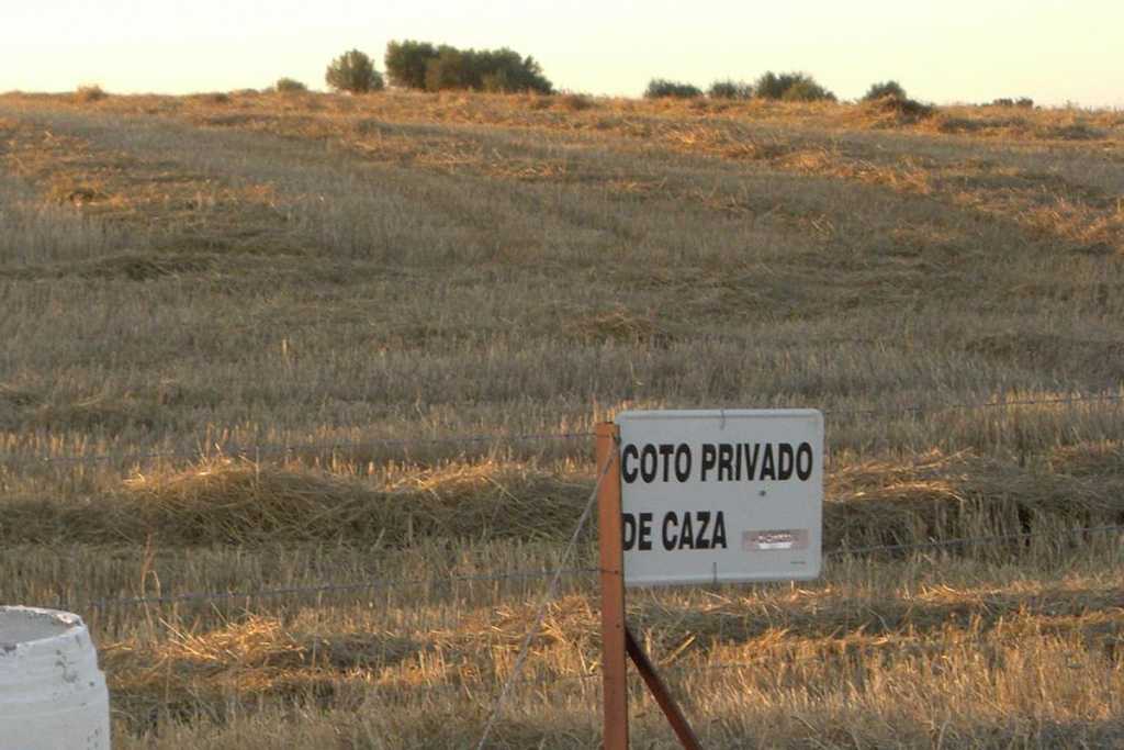 Coto-Caza