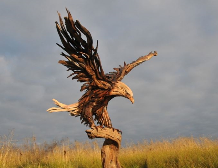 Águila creado por raíces de árboles / Fotografía: Jeffro Uitto