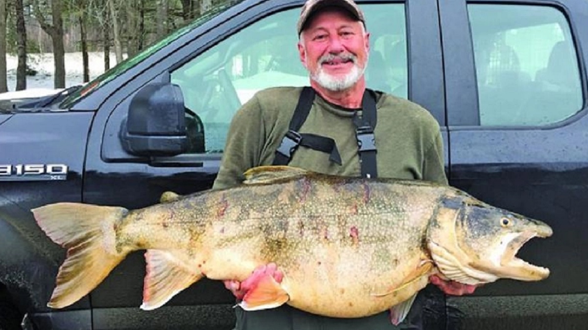 Un pescador captura una descomunal trucha de 17 kilos