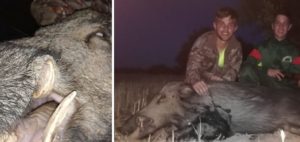 Dos hermanos de 14 y 18 años cazan un magnífico jabalí con escopeta en una espera por daños