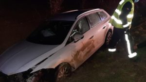 Una mujer se precipita con su coche por un terraplén tras chocar con un jabalí en Navarra