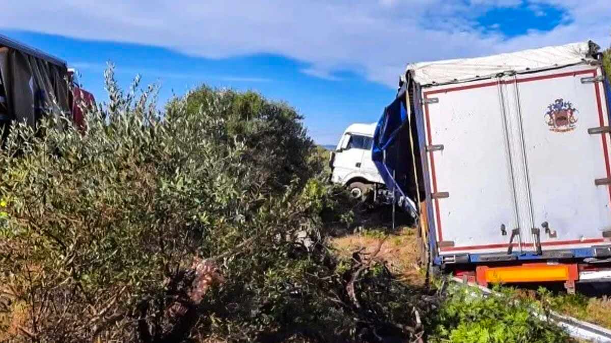 Un camión choca contra un jabalí y se sale de la carretera en Tarragona