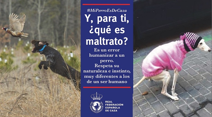 campaña humanizacion maltrato perros RFEC 
