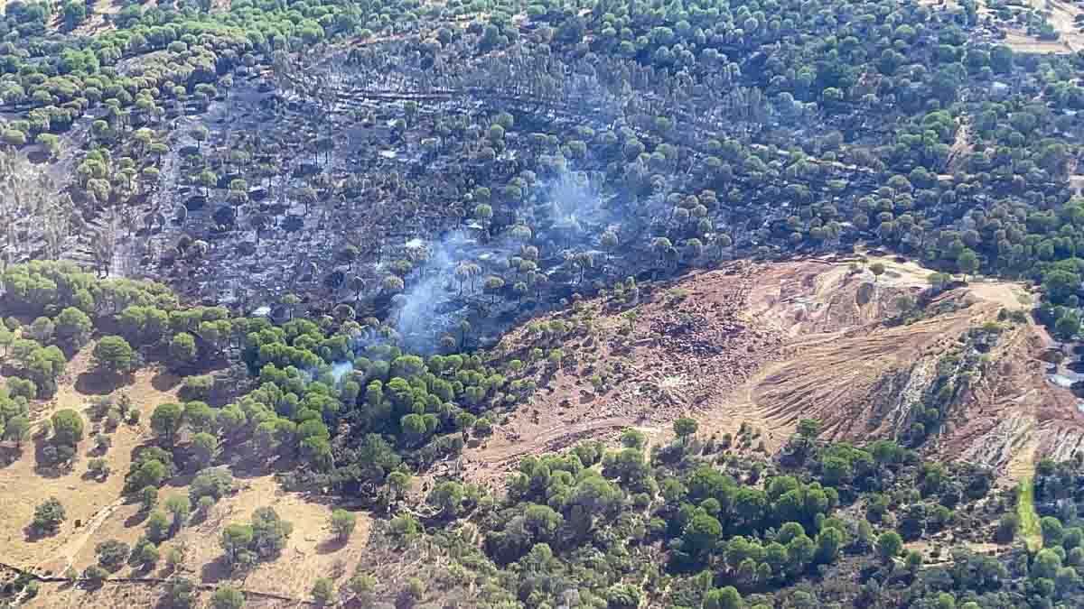Los cazadores participarán en el plan de recuperación de la Sierra de Huelva tras los incendios