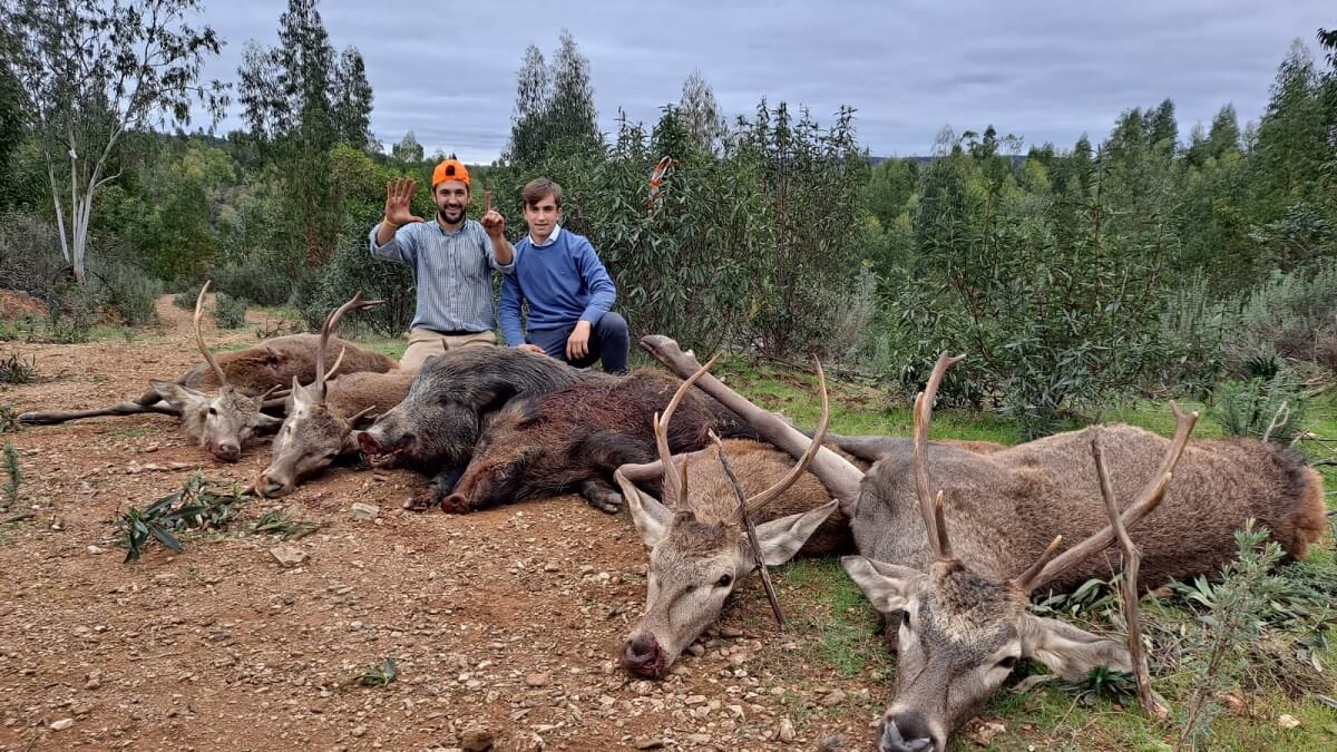 Un puesto de ensueño: paga 11 euros y caza cuatro ciervos y dos jabalíes