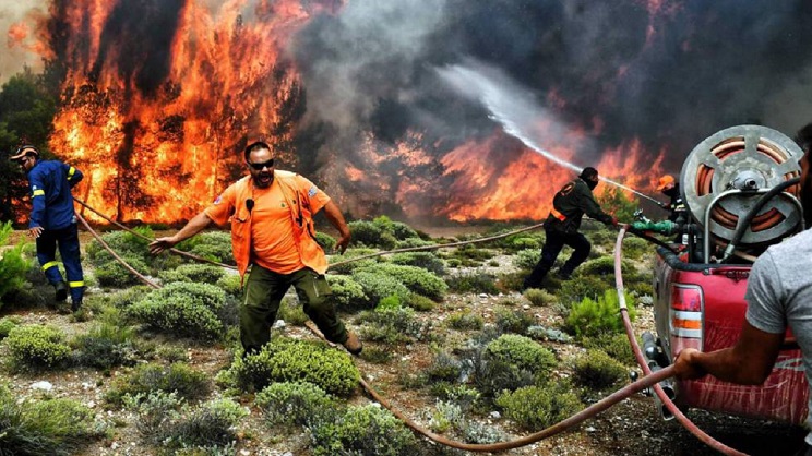 incendios grecia culpa ecologistas