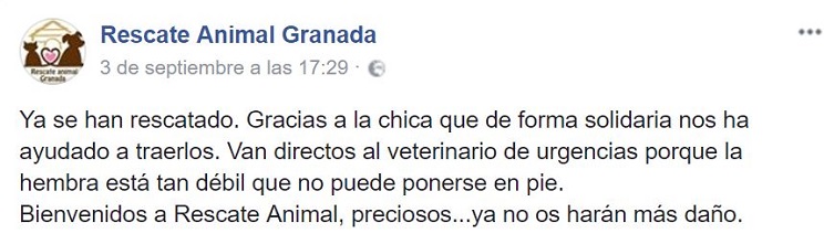 Captura de pantalla de una publicación en Facebook de Rescate Animal Granada / Fotografía: Facebook