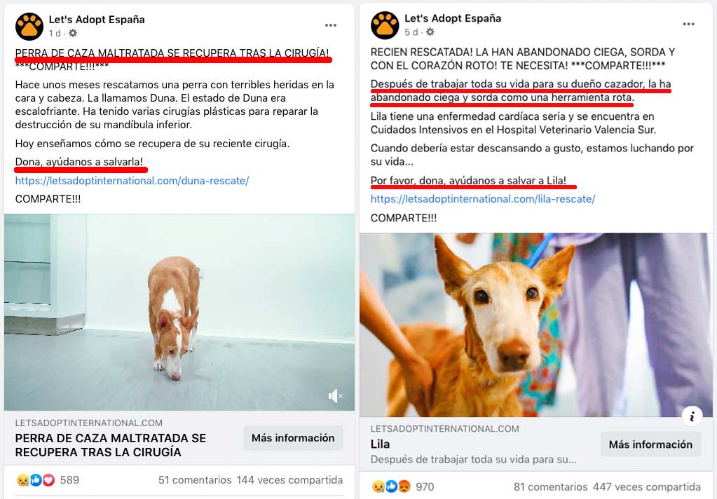 Imágenes mostradas en la página de Facebook de Let's Adopt España horas antes de ser eliminada.