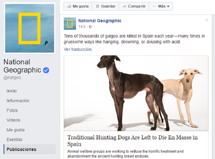 national-geographic-noticia-en-contra-perros-espanoles