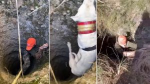 Un cazador se juega la vida por sus perros bajando a un hondo pozo a rescatarlos