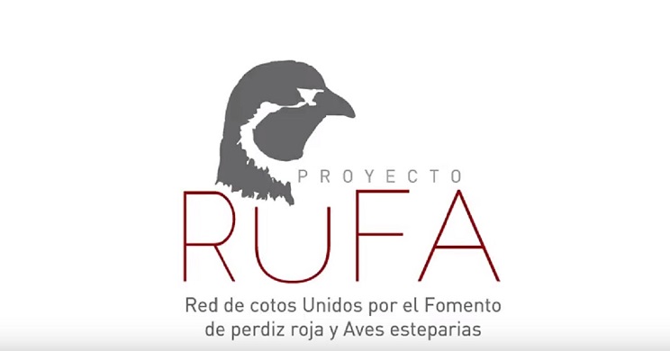 proyecto rufa