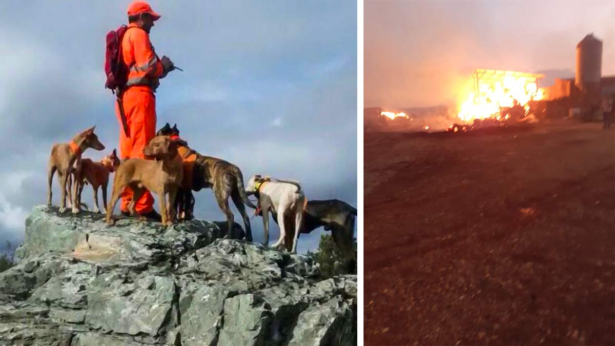 Un incendio calcina las perreras de este rehalero tras salvar a sus 120 perros y los cazadores hacen un llamamiento para ayudarlo