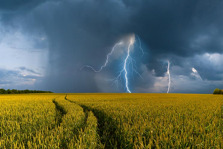 La tormenta en el campo es una buena pista para la orientación sin brújula. /Shutterstock 