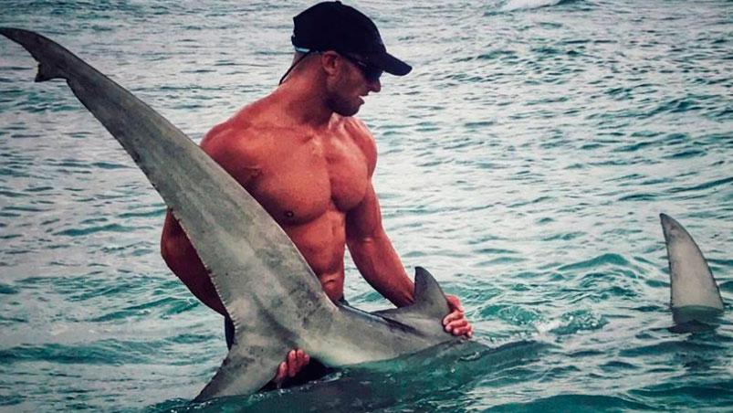 tiburon-martillo-cazador-foto-viral