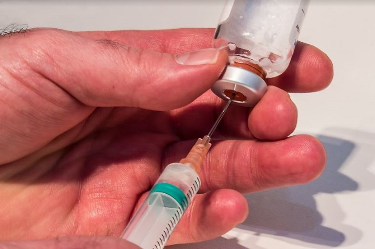 Vacuna de la rabia, obligatoria en España / Fotografía: bancodeimagenesgratis.com