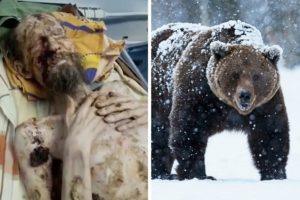 Revelan la verdadera historia del hombre 'cazado' por un oso