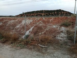 Adif sepulta vivos a miles de conejos cegando con cemento sus madrigueras en Jaén