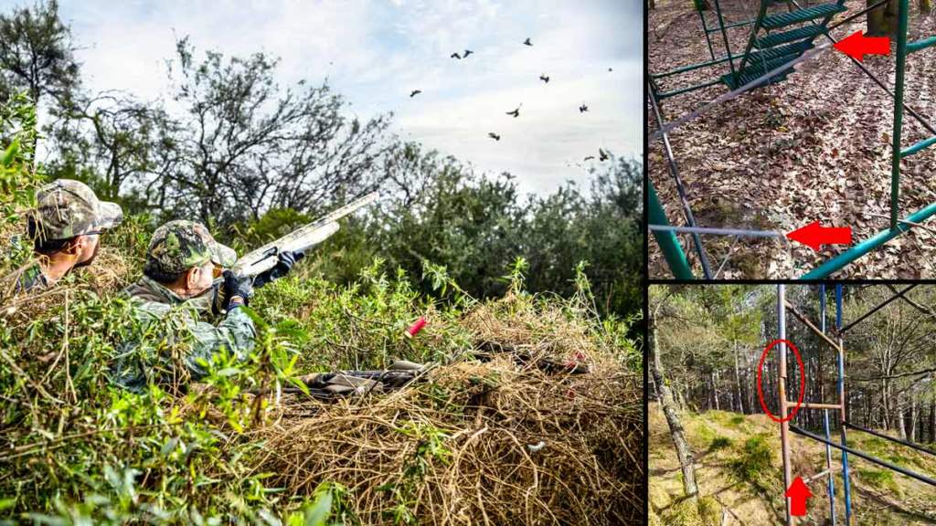 Escena de caza de paloma y los cables de acero, cortados en los puestos. © Shutterstock y Facebook
