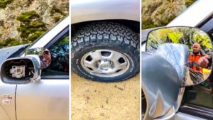 Varios cazadores muestran sus coches con destrozos tras una batida: «Estos son los civilizados de los ecologistas»