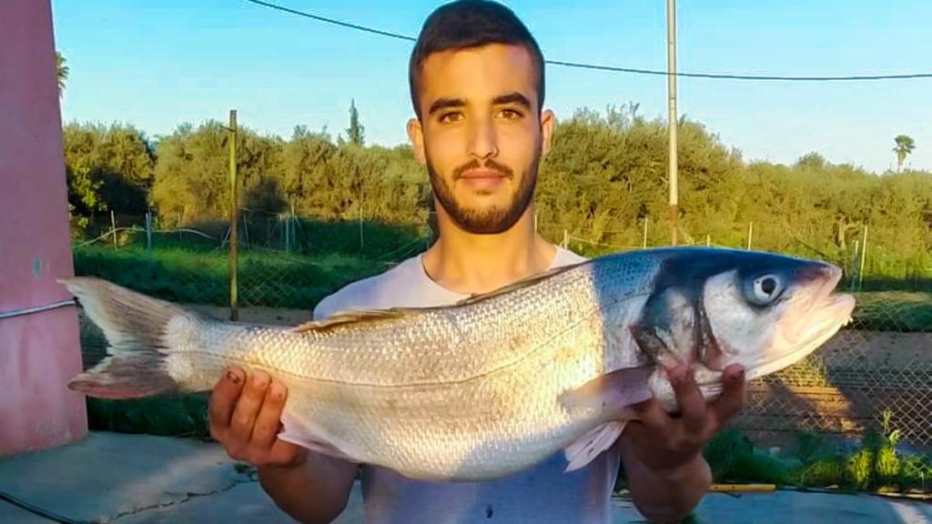 La lubina pescada por el joven en el Guadalquivir. © A. M.