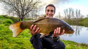 Pescan en Salamanca una tenca de 5,4 kg, una de las más grandes de España