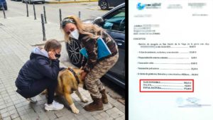 La protectora que retuvo a una perra contra la voluntad de su dueña le pasa la factura: casi 400€
