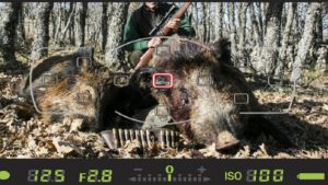 7 errores típicos que estropean tus fotos de caza