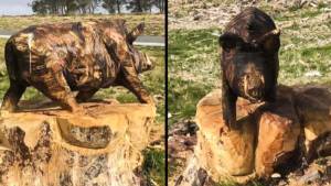 Un cazador de Galicia esculpe un jabalí en un tronco con una motosierra