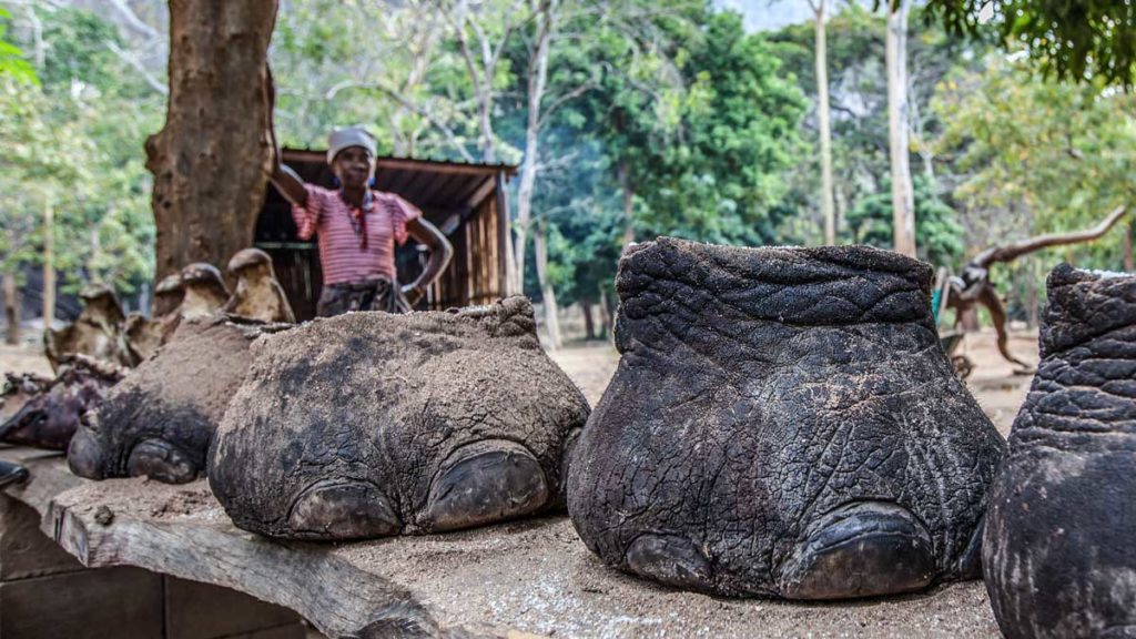Patas de elefantes muertos a manos de furtivos. ©Shutterstock