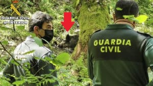 Los cazadores alertan a la Guardia Civil de un lazo colocado por furtivos para capturar jabalíes