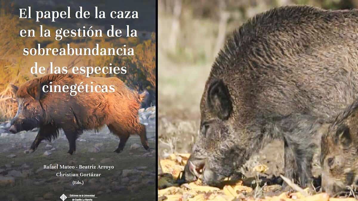 Publican un libro sobre el papel de la caza en la gestión de la  sobreabundancia de especies cinegéticas