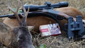 Excopesa Experience: únete y caza corzos en celo en Hungría