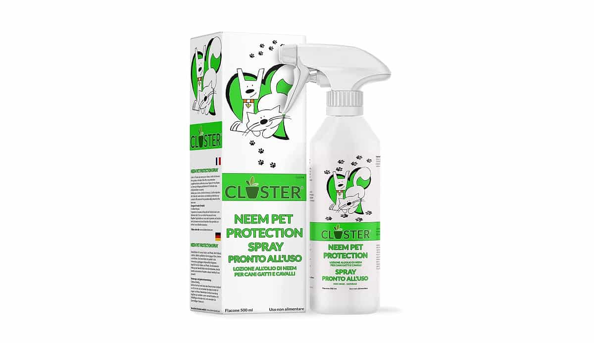 Cinco productos contra las garrapatas que arrasan en Amazon