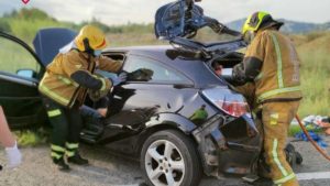Los accidentes de tráfico provocados por jabalíes se multiplican por siete en la Comunidad Valenciana