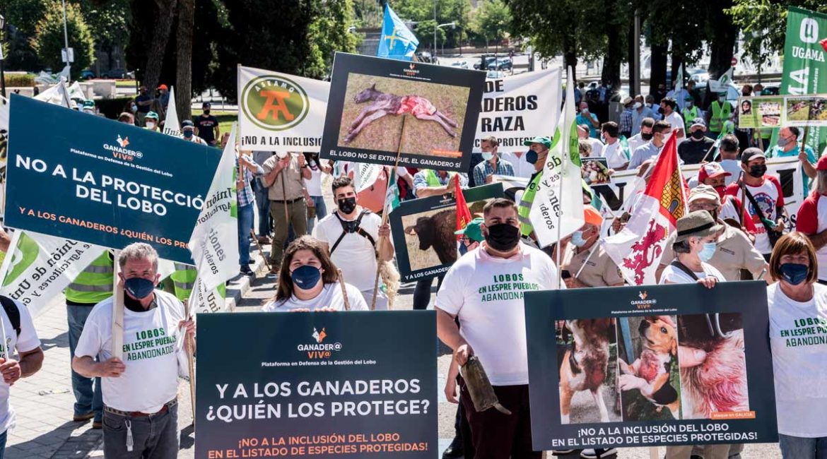 Gran manifestación en Madrid en defensa del mundo rural y sus actividades