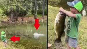 Increíble picada: un niño captura un black bass casi tan grande como él