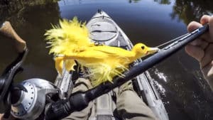'Pato suicida', el exitoso señuelo para la pesca de grandes lucios que arrasa en Amazon